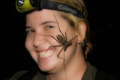 Image: Aaron Pomerantz